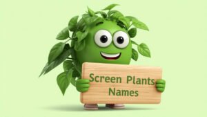 screen plants names
