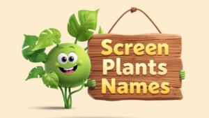 screen plants names